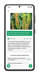 Local Language Support